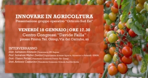 INNOVARE IN AGRICOLTURA – PRESENTAZIONE GRUPPO OPERATIVO &quot;ORTICOLO SUD EST&quot;